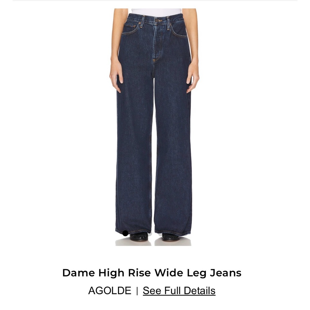 AGOLDE NWT Dame High Rise Wide Leg Jeans